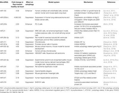 Pro-Senescence and Anti-Senescence Mechanisms of Cardiovascular Aging: Cardiac MicroRNA Regulation of Longevity Drug-Induced Autophagy